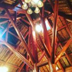 森林に、木に囲まれていやされましたー@あいあいらんど