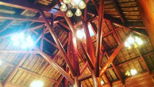 森林に、木に囲まれていやされましたー＠あいあいらんど