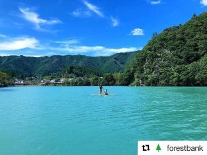 木頭すぎを使ったSUP‍体験