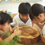Wood Actionの木育活動がウッドデザイン賞2018を受賞しました!