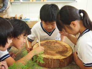 Wood Actionの木育活動がウッドデザイン賞2018を受賞しました！