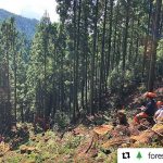 林業・集材の様子　